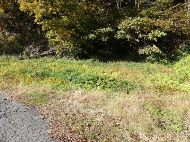 空き家物件詳細