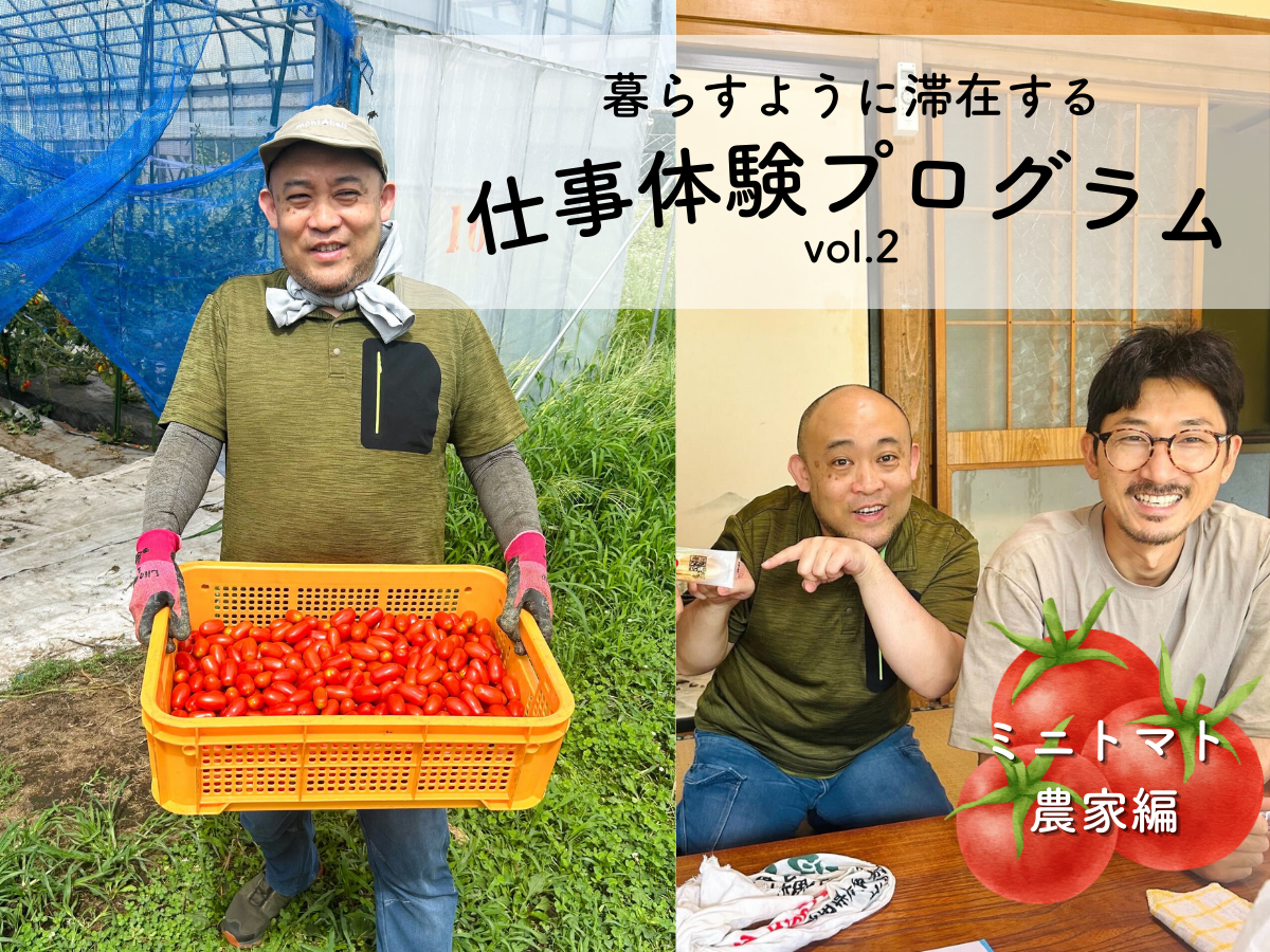 【R7仕事体験プログラム】レポート　vol.2